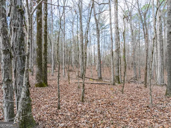 $146,900 | 3-acres Happy Hollow Road, Hampton, GA 30228