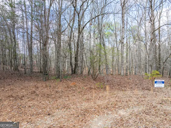 $146,900 | 3-acres Happy Hollow Road, Hampton, GA 30228