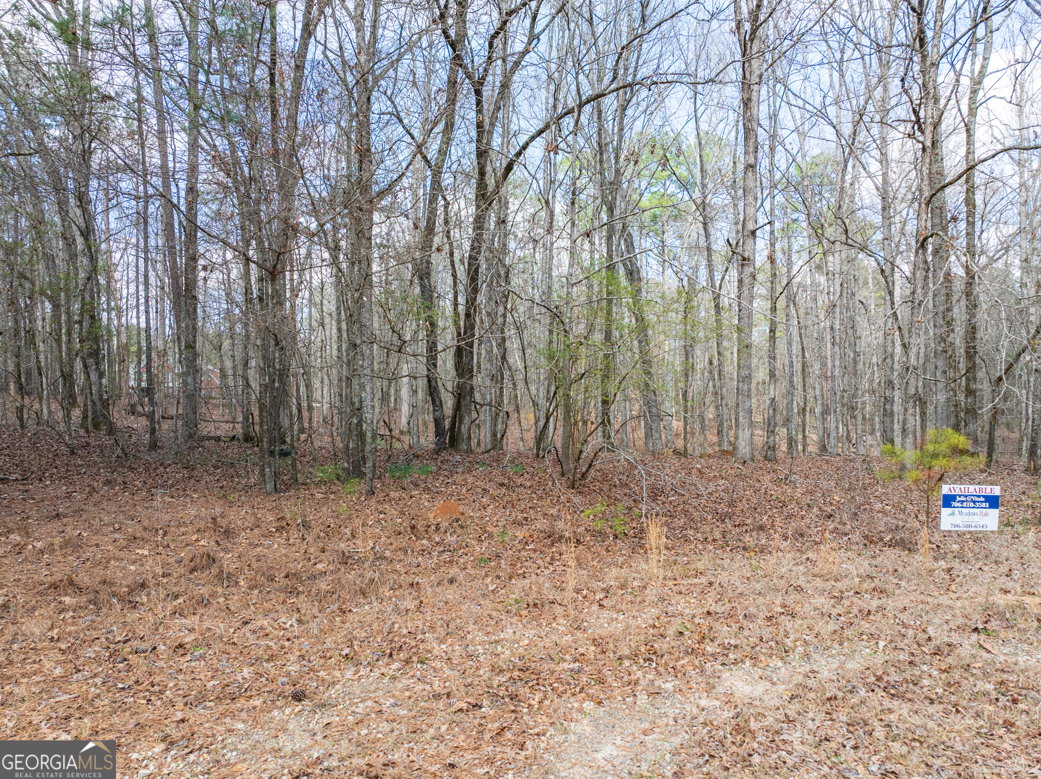 3-acres Happy Hollow Road Hampton, GA 30228 - Photo 36 of 37