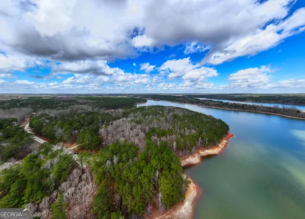 $146,900 | 3-acres Happy Hollow Road, Hampton, GA 30228