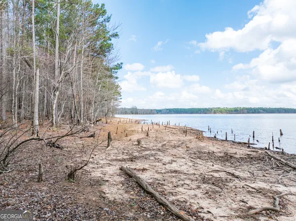 $146,900 | 3-acres Happy Hollow Road, Hampton, GA 30228