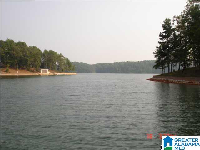 Tranquility Lane Wedowee, AL 36278 - Photo 6 of 13
