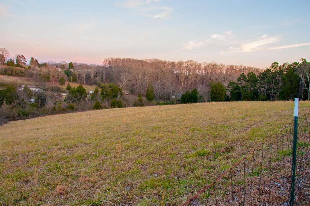 5717 Branch Road Loudon, TN 37774 - Photo 2 of 28 DSC_0206