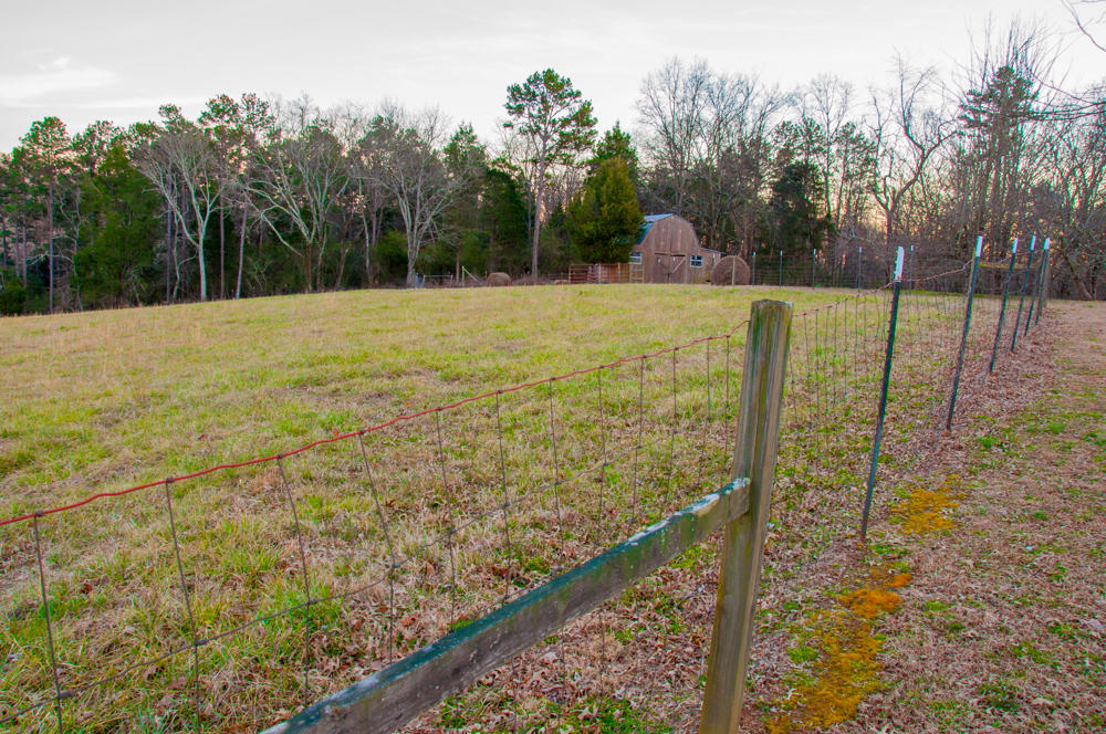5717 Branch Road Loudon, TN 37774 - Photo 5 of 28 DSC_0211