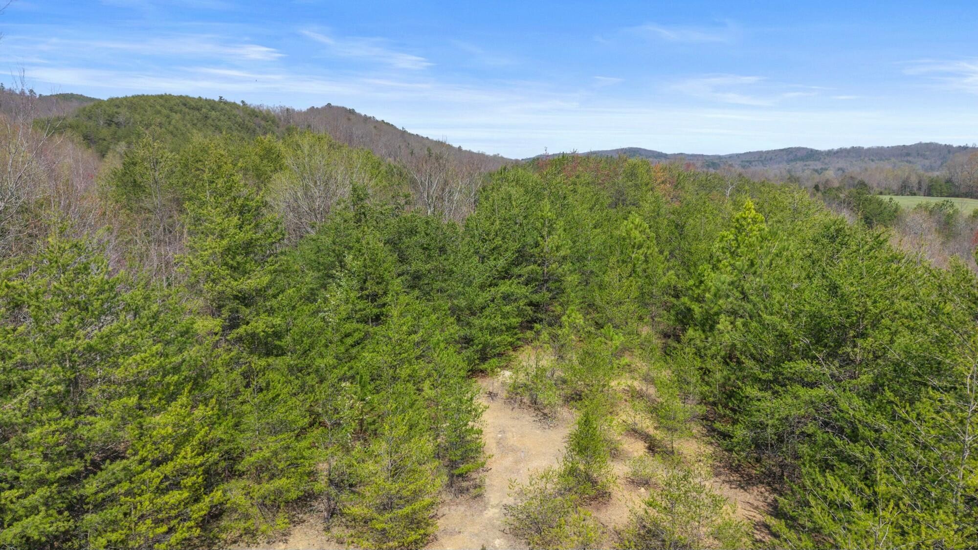 0 Harrison Pike Southwest McDonald, TN 37353 - Photo 7 of 26