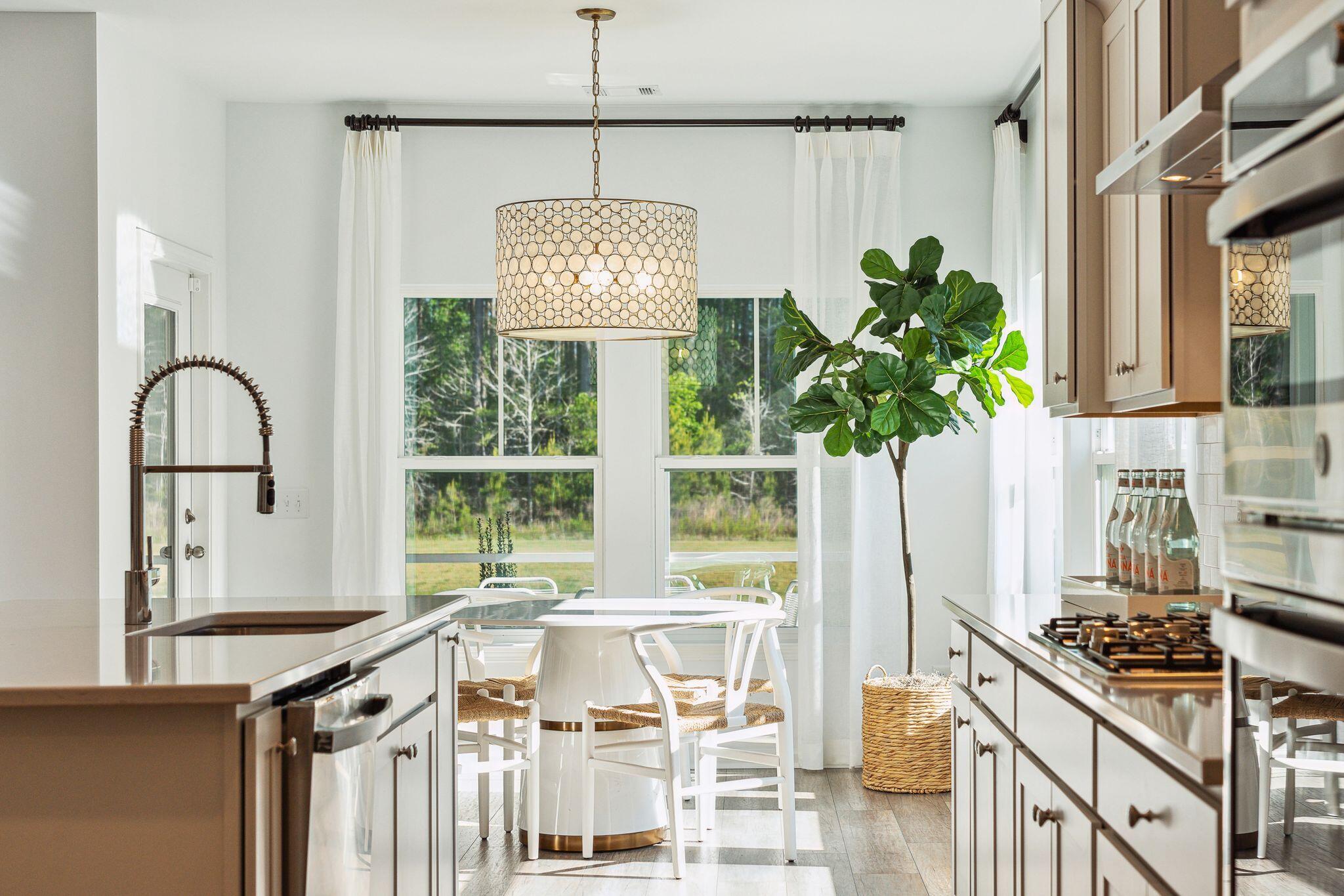 1107 Ark Shell Drive Summerville, SC 29485 - Photo 9 of 19 pantry to kitchen
