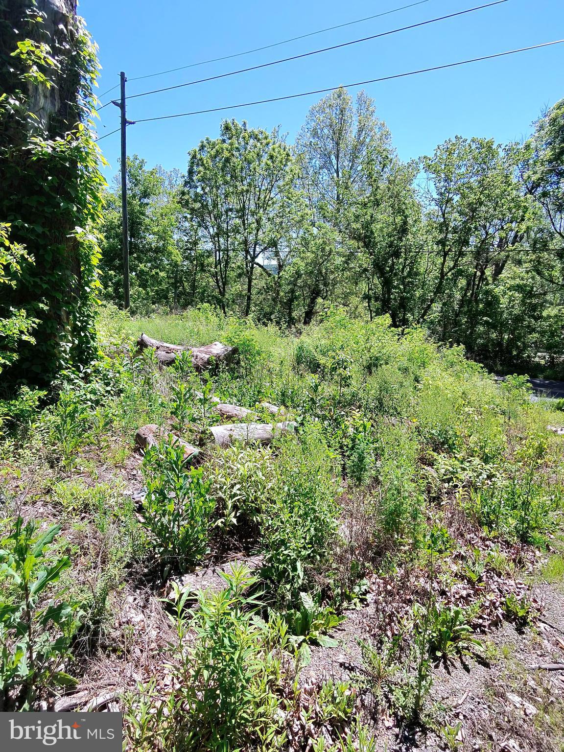 1461 Springfield Pike Springfield, WV 26763 - Photo 13 of 15
