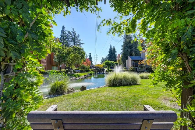 a view of a garden with a lake