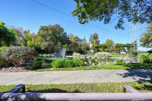 a view of a plants in front of a house