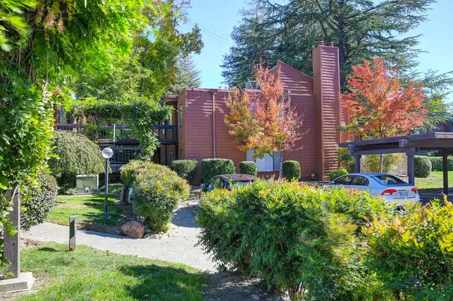 a view of a yard with plants and a fountain