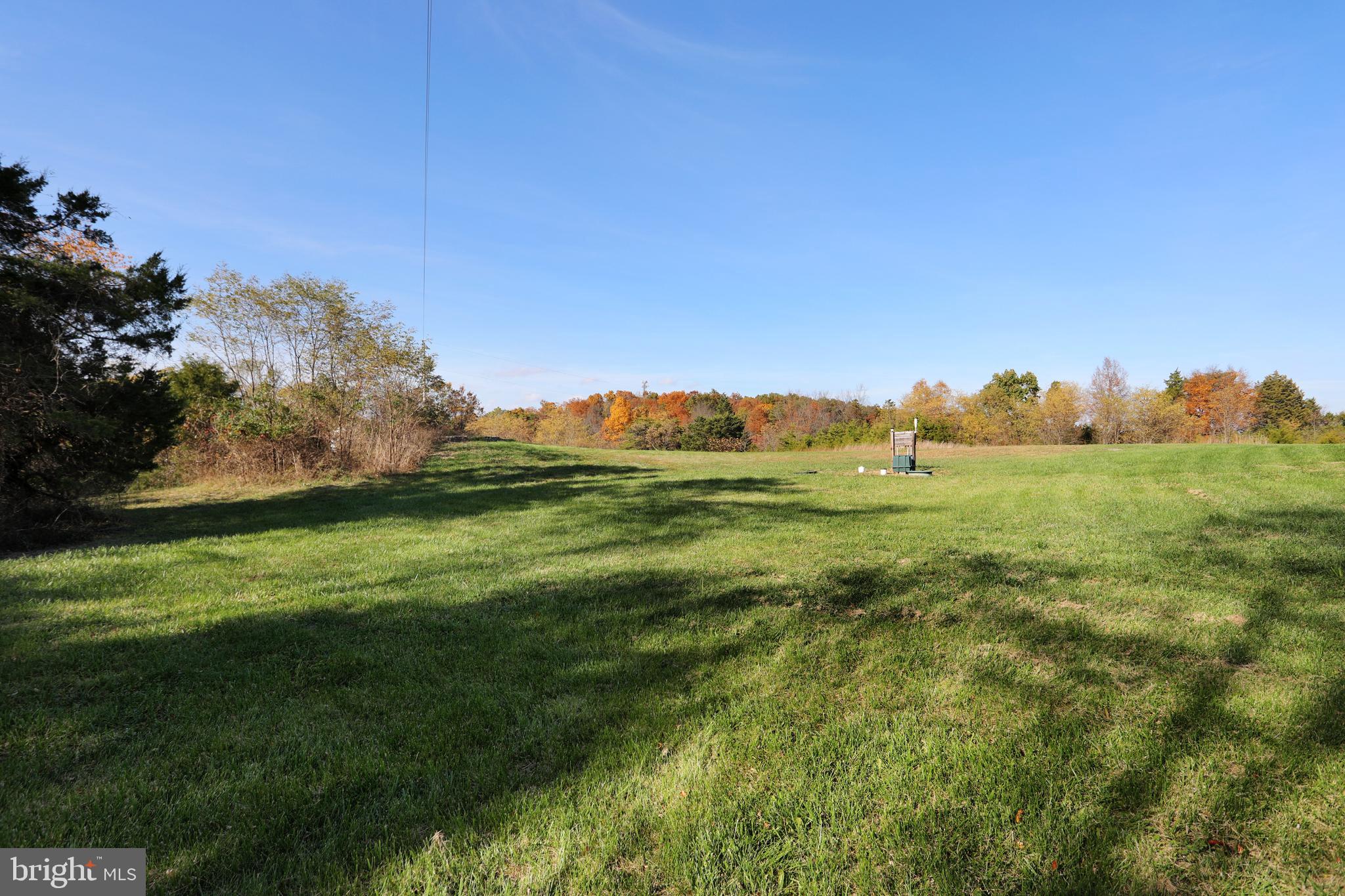 288 Meadow Branch Road Middletown, VA 22645 - Photo 5 of 45