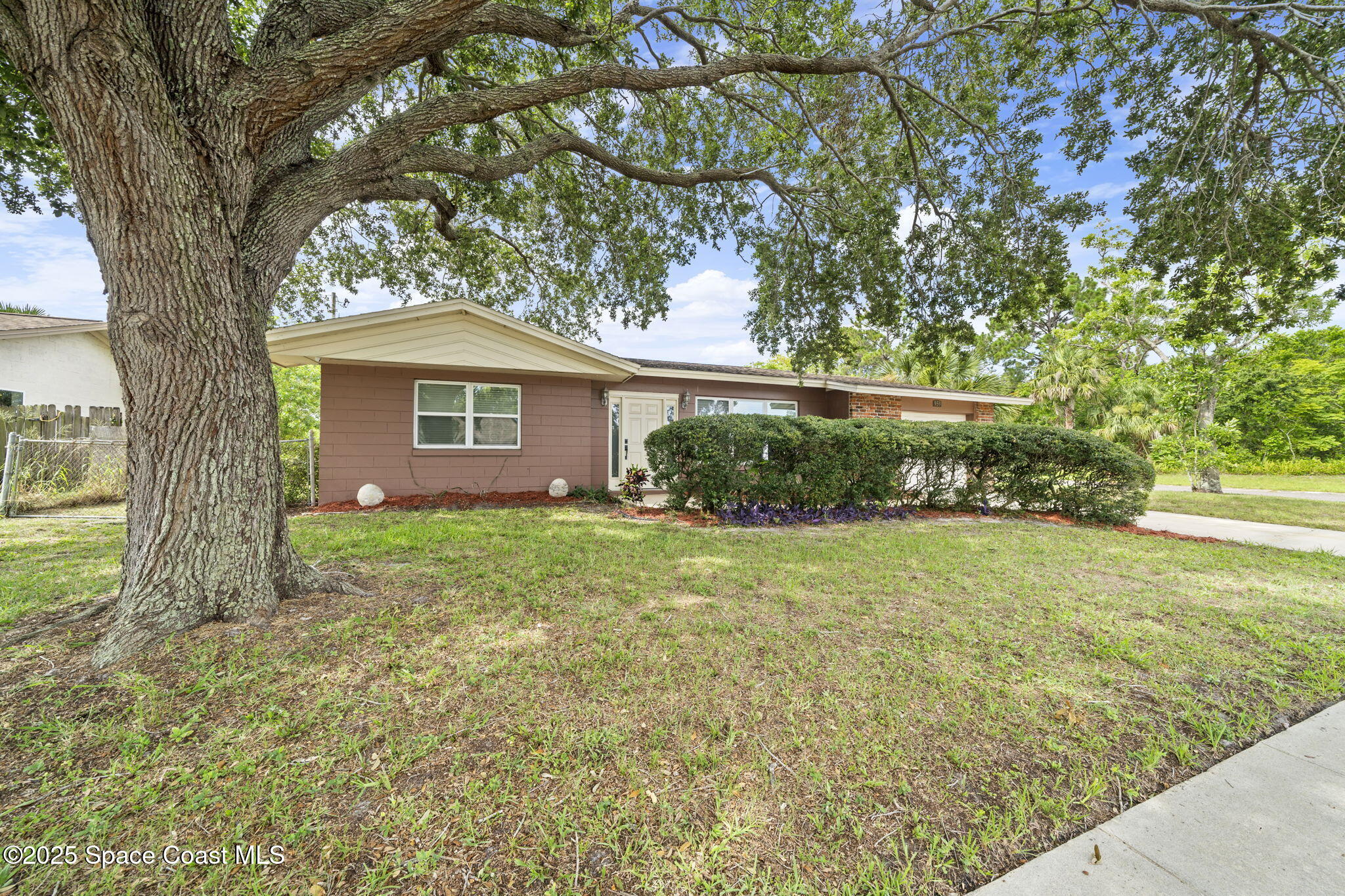 959 Macco Road Cocoa, FL 32927 - Photo 33 of 34 a view of a house with yard and a tree