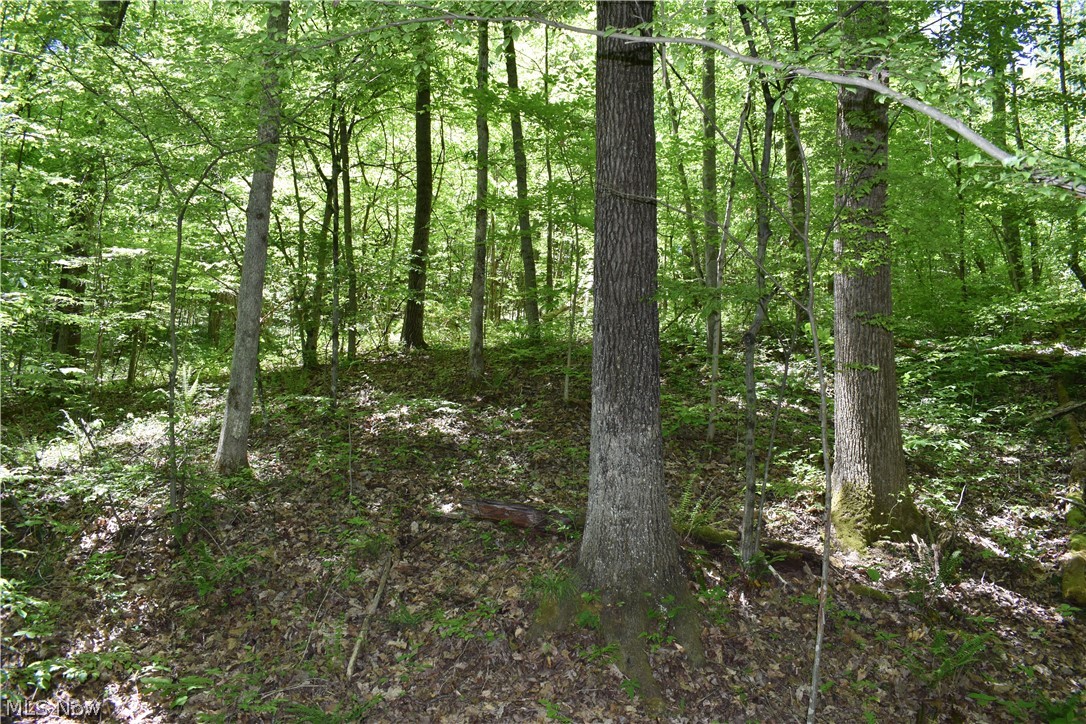 33822 Hopewell Ridge Road Lower Salem, OH 45745 - Photo 28 of 35