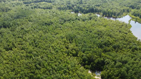 $34,500 | 7 Sharon Lane, Cherryfield, ME 04622