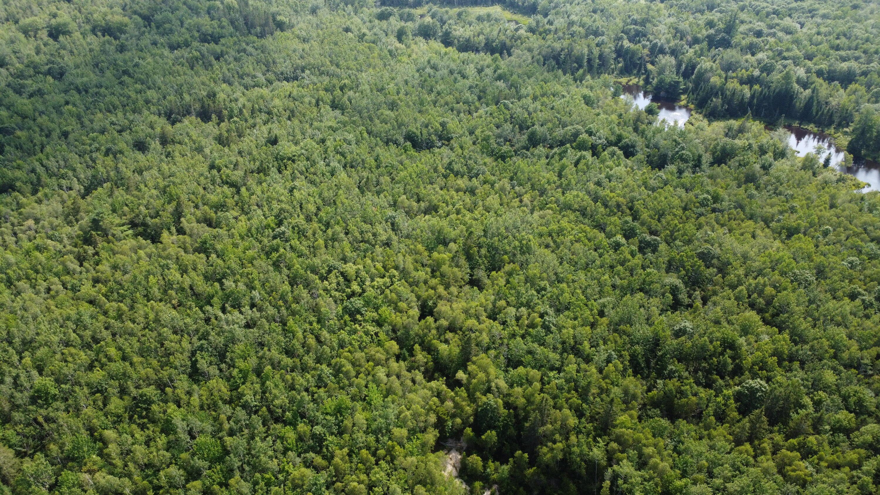 7 Sharon Lane Cherryfield, ME 04622 - Photo 2 of 4 DJI_0851