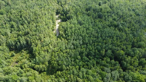 $34,500 | 7 Sharon Lane, Cherryfield, ME 04622