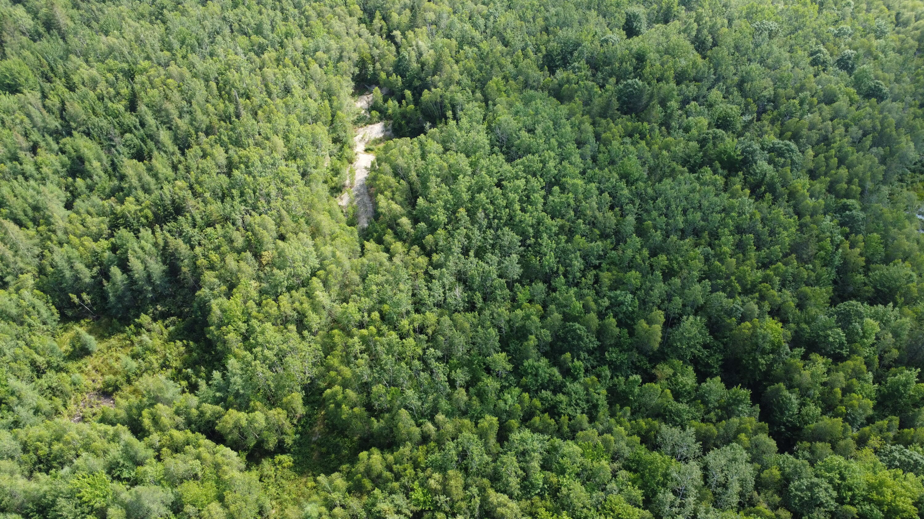 7 Sharon Lane Cherryfield, ME 04622 - Photo 3 of 4 DJI_0850