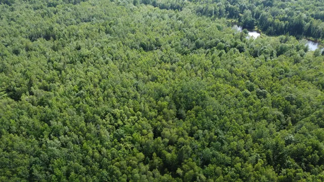 $34,500 | 7 Sharon Lane, Cherryfield, ME 04622