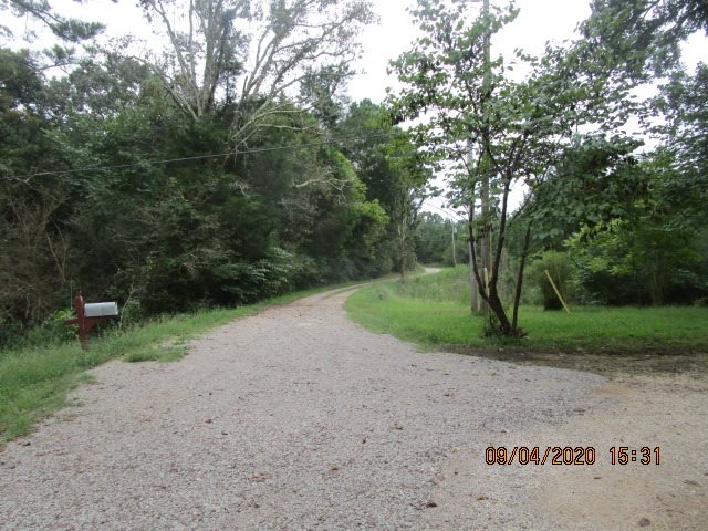 250 Daniel Moore Road Selmer, TN 38375 - Photo 5 of 5 Gallery Image 5