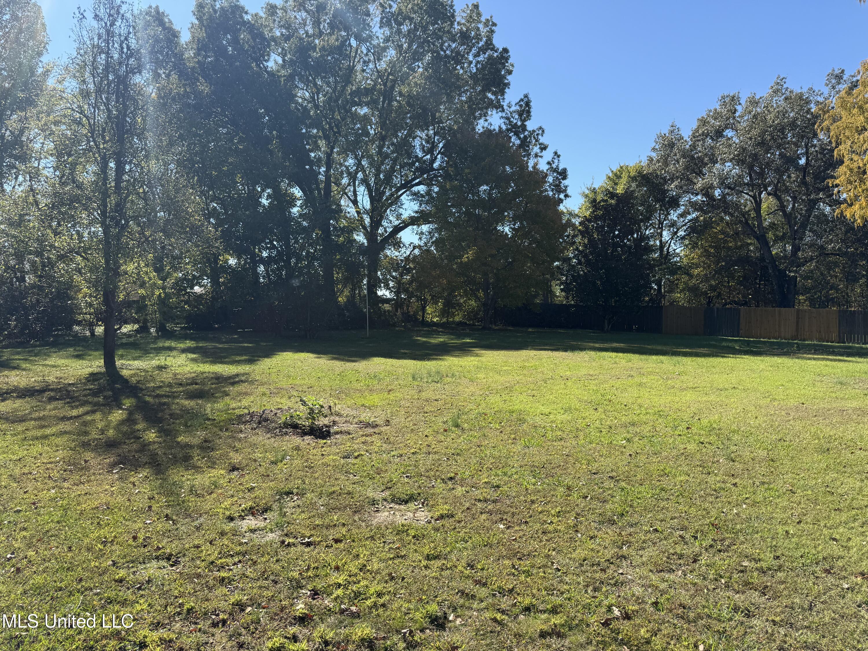 1999 Edgewood Boulevard Hernando, MS 38632 - Photo 13 of 52 IMG_1433