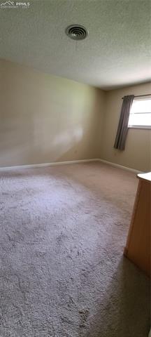 6735 Burrows Road Colorado Springs, CO 80908 - Photo 16 of 22 Gallery Image 16