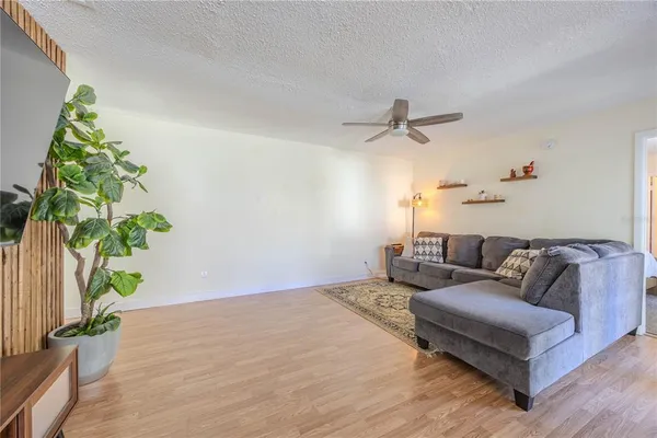 a living room with furniture and a potted plant