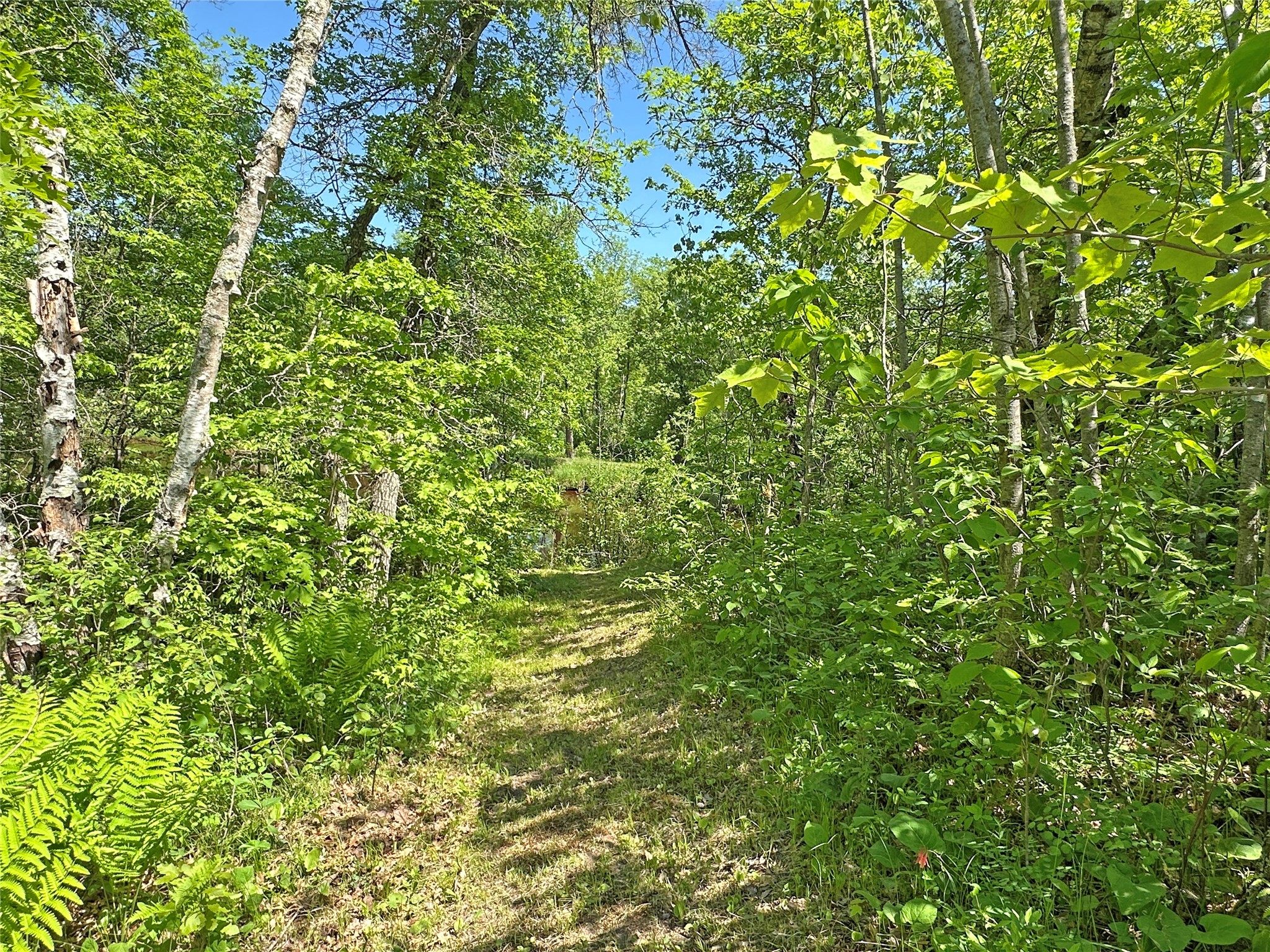 W9134 Chipmunk Trail Trego, WI 54888 - Photo 19 of 20
