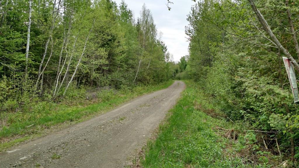 Lot 8 Davis Brook Amity, ME 04471 - Photo 2 of 11 Photo
