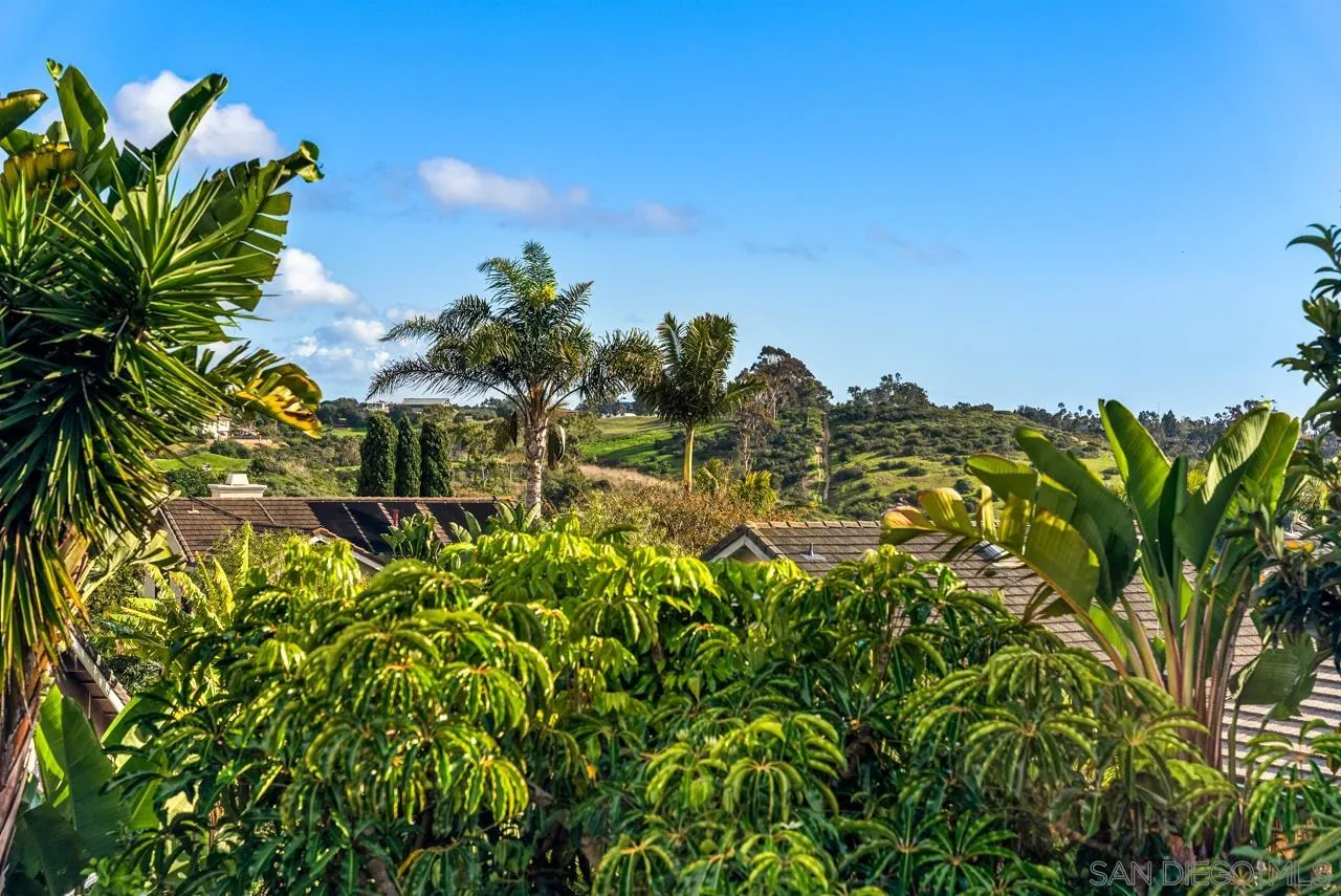 1815 Hawk View Drive Encinitas, CA 92024 - Photo 28 of 51 a view of a plant in a garden