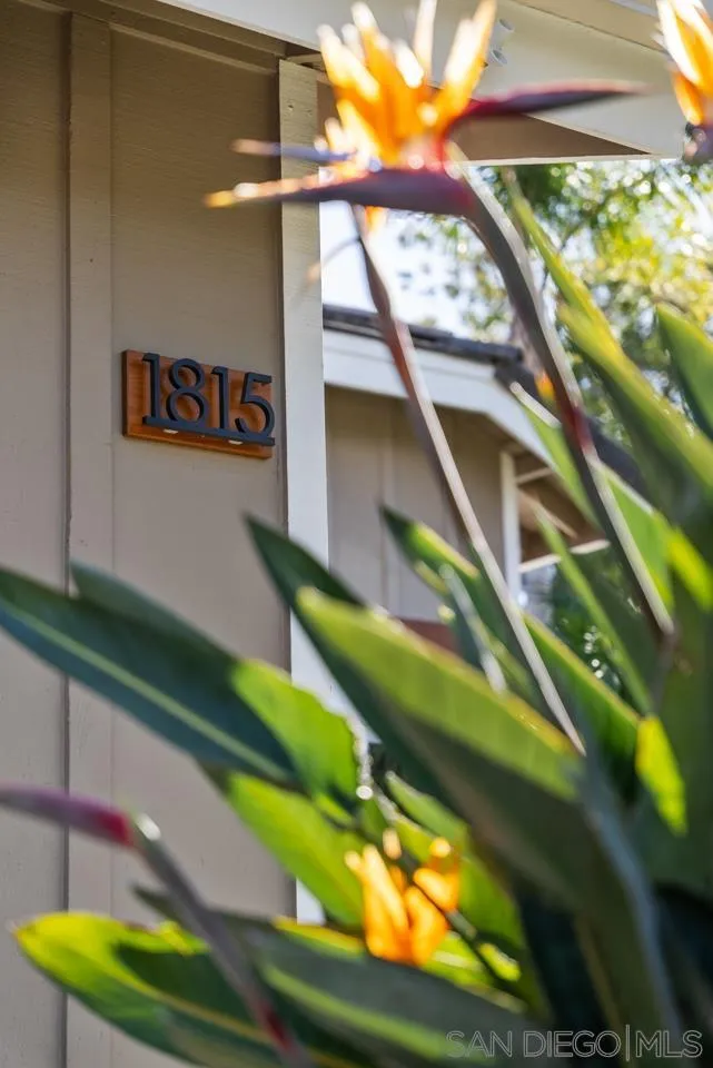 1815 Hawk View Drive Encinitas, CA 92024 - Photo 46 of 51