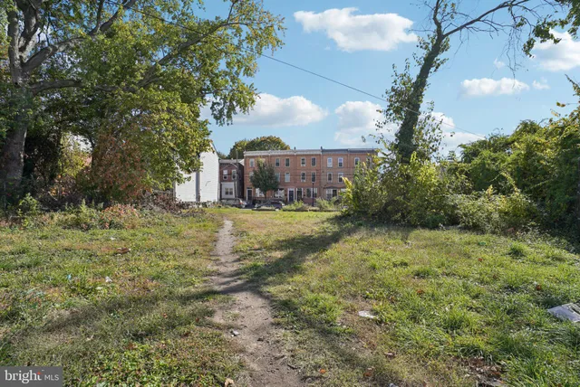 a view of a yard with large trees