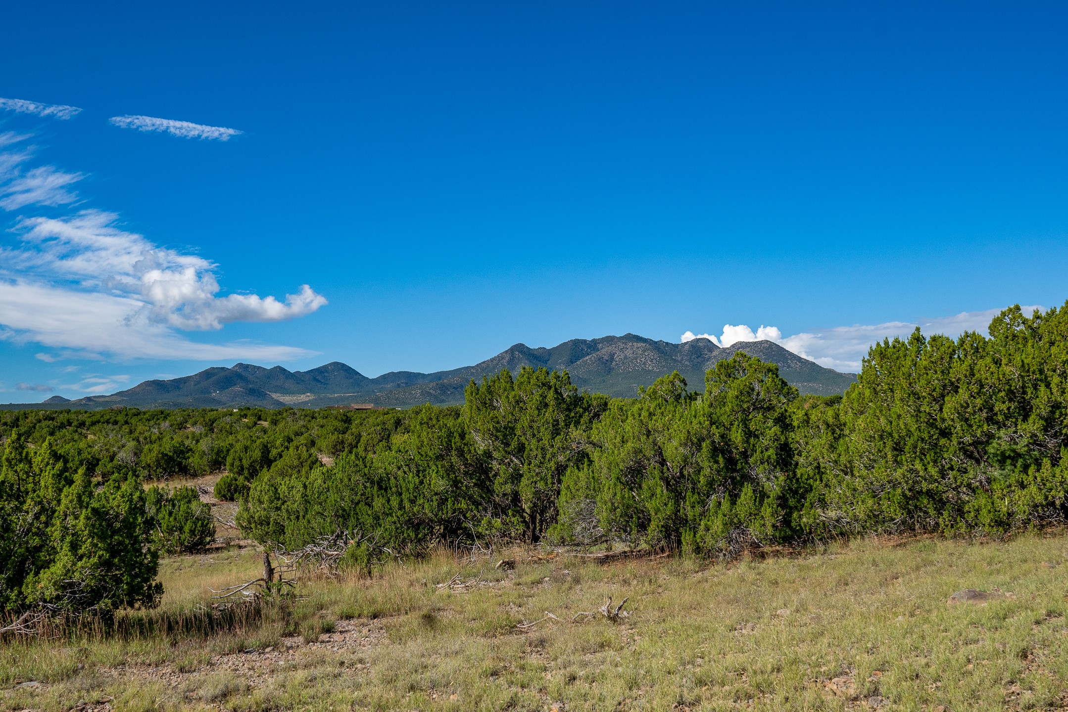 95 Grenfell Ranch Road Cerrillos, NM 87010 - Photo 7 of 47
