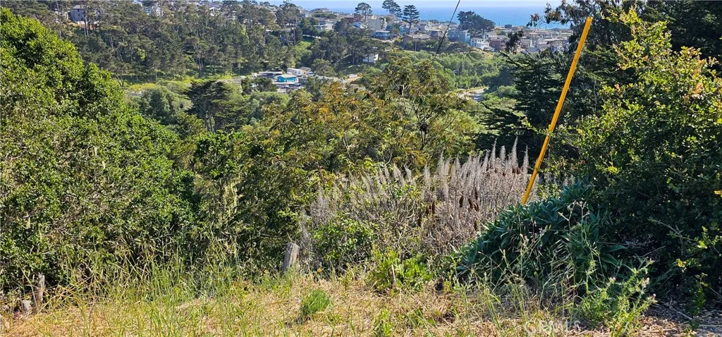 0 Croyden Lane Cambria, CA 93428 - Photo 6 of 7 a view of a forest with a tree