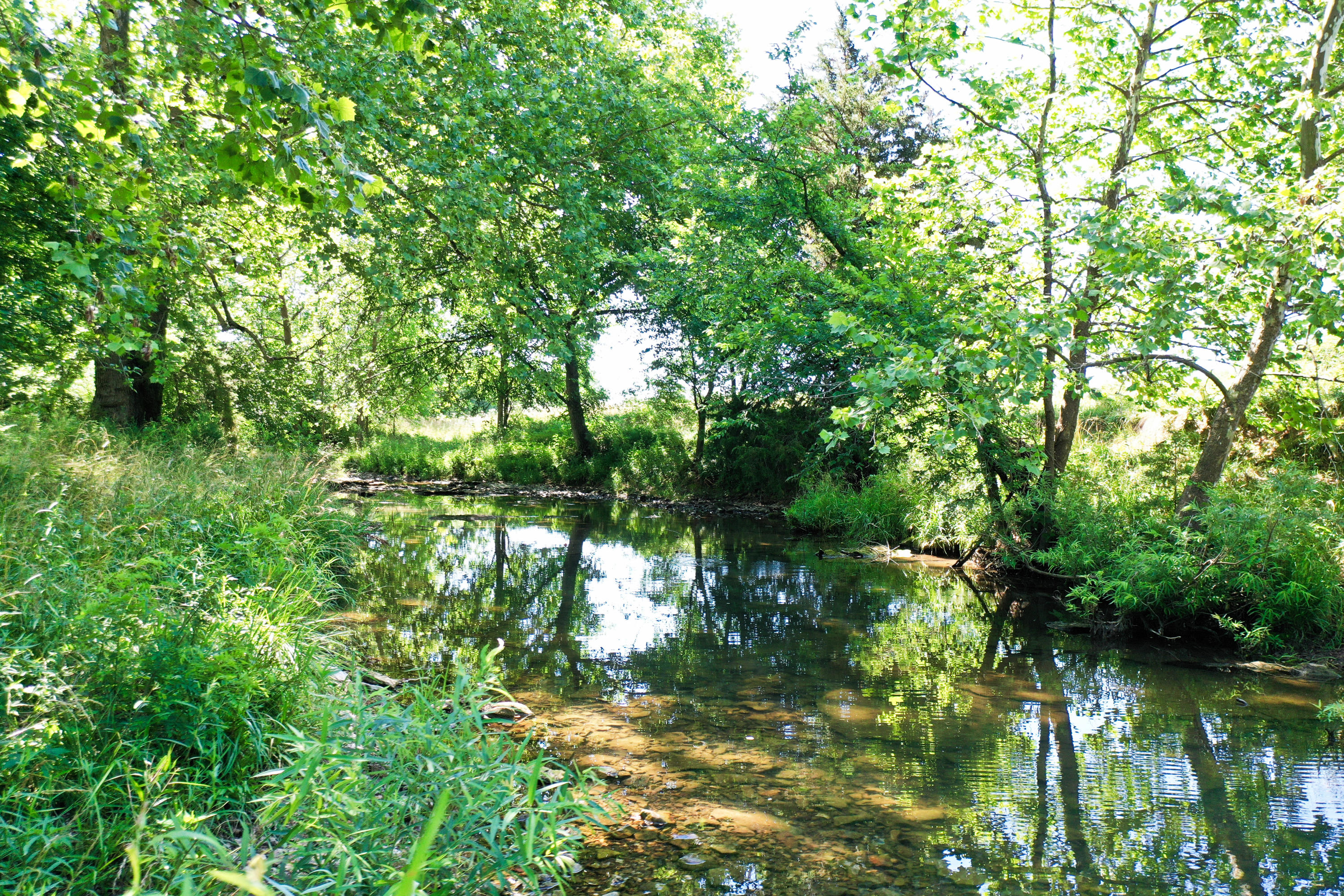 0 1350th Road Stockton, MO 65785 - Photo 1 of 1 PoleCatCreek1