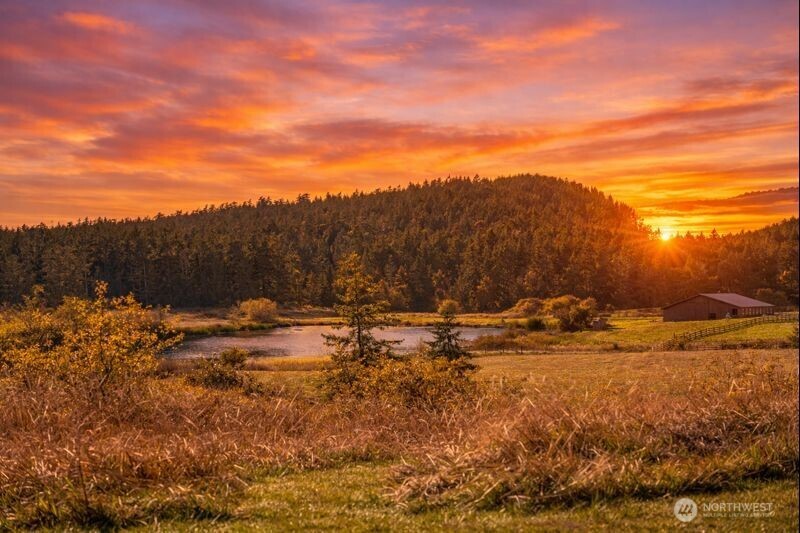 1062 Wold Road Friday Harbor, WA 98250 - Photo 38 of 40