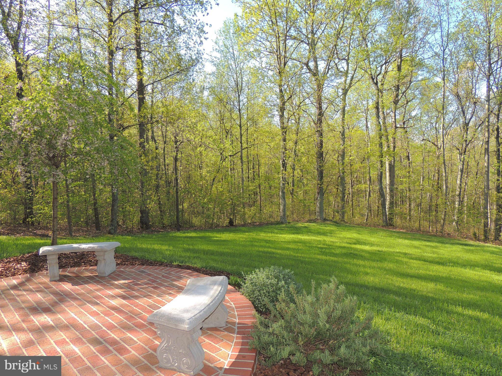 6099 Varzara Road Marshall, VA 20115 - Photo 5 of 30 Exterior (Front)