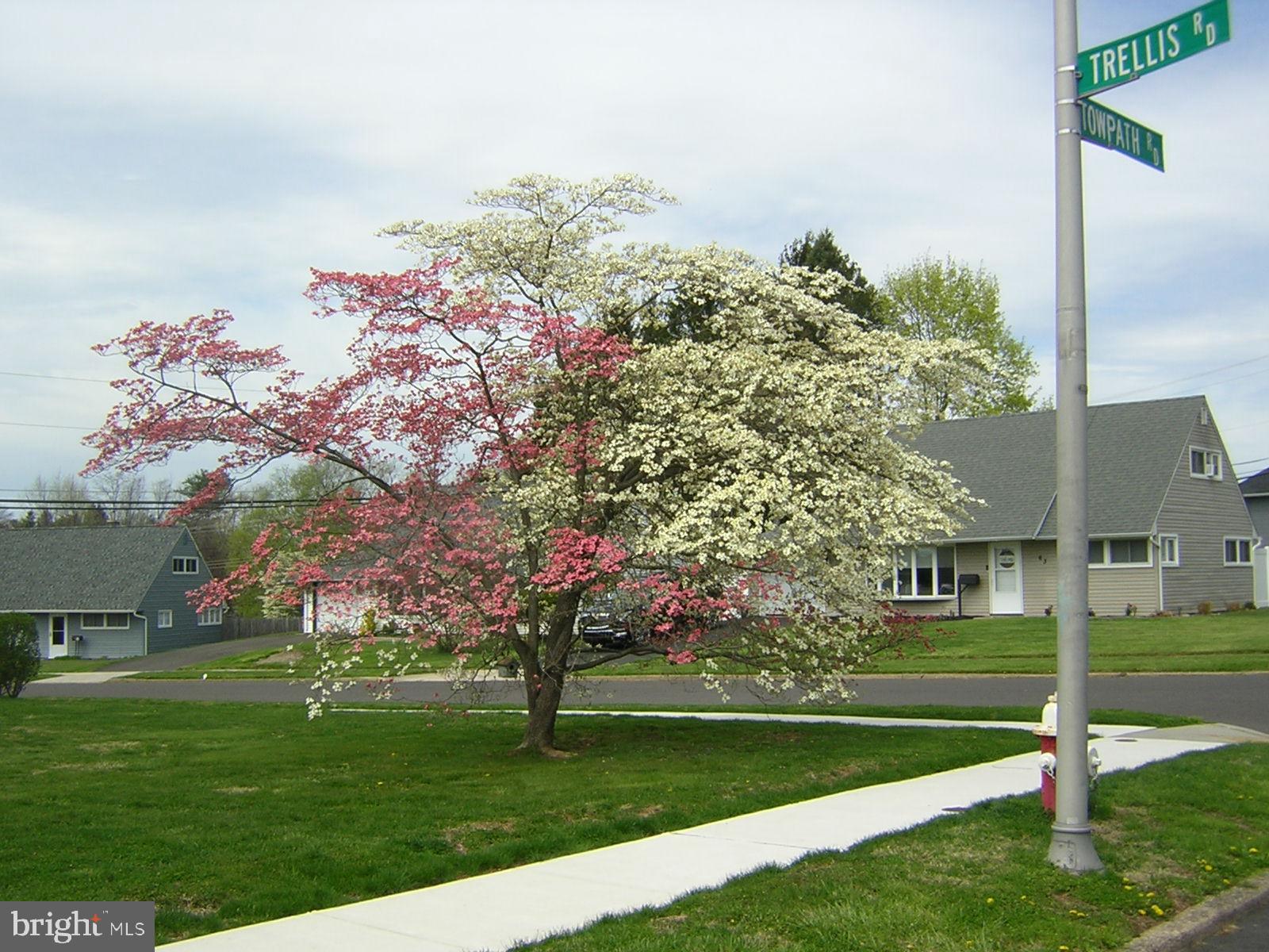 57 Towpath Road Levittown, PA 19056 - Photo 34 of 35 Front Yard
