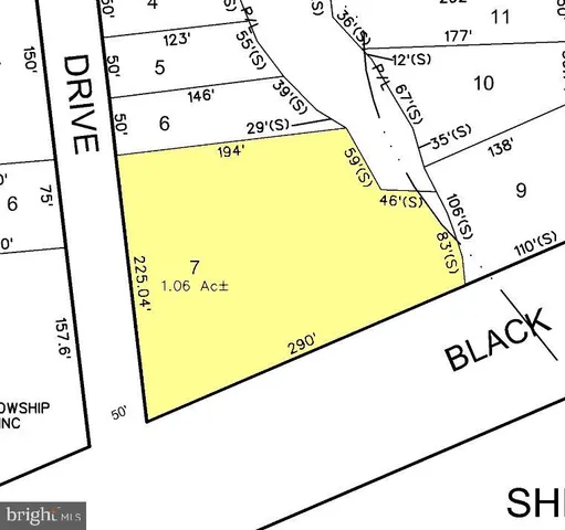 a view of a lake with a city view