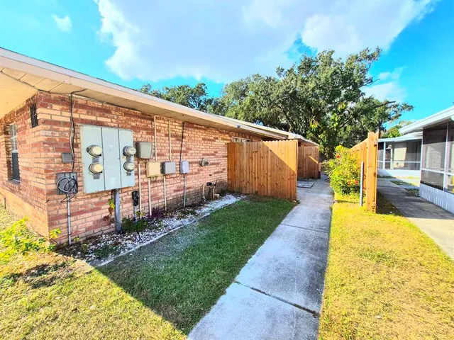 a view of backyard with plants