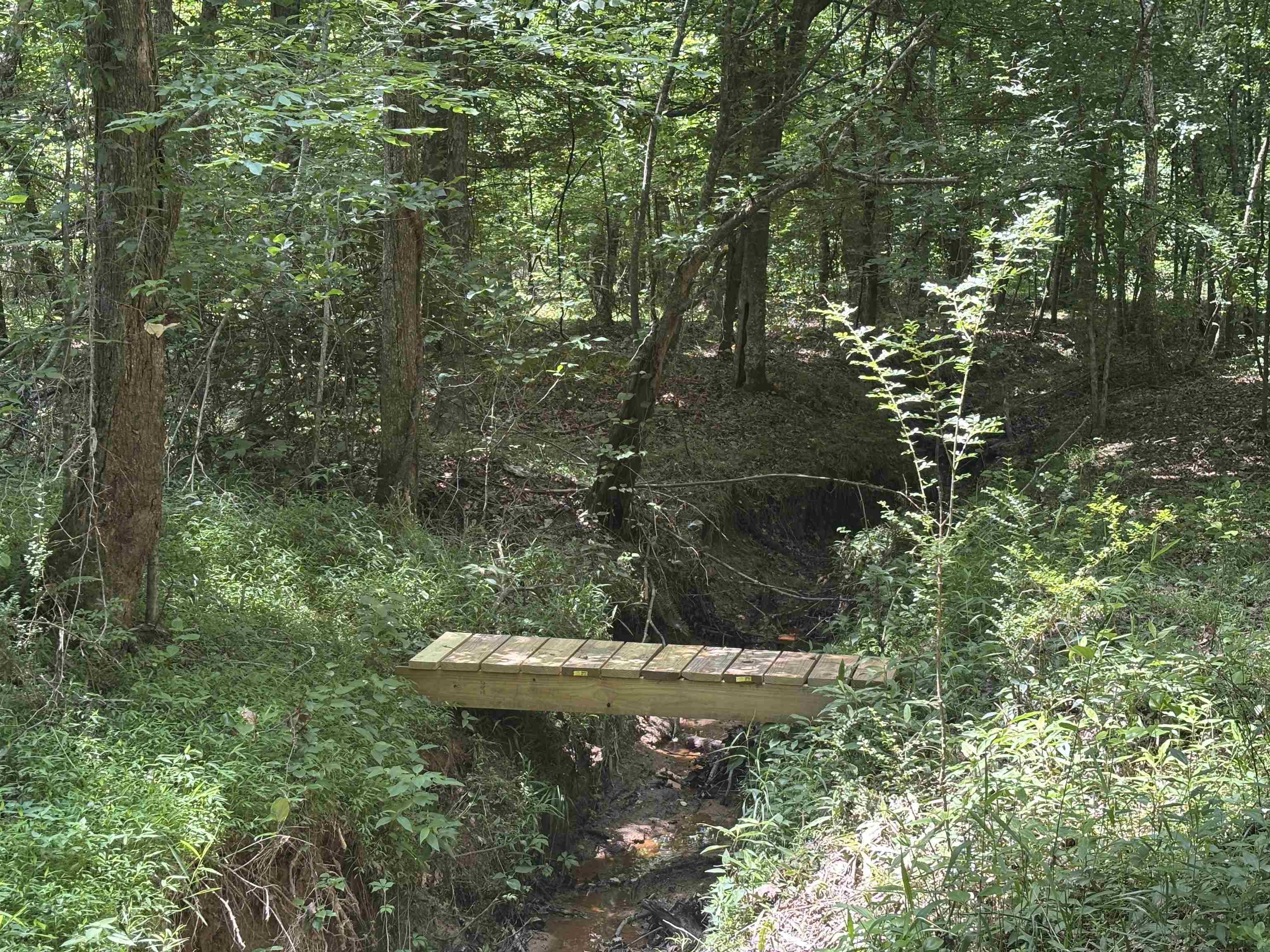 19.5-acres McMahan Road Middleton, TN 38052 - Photo 6 of 28