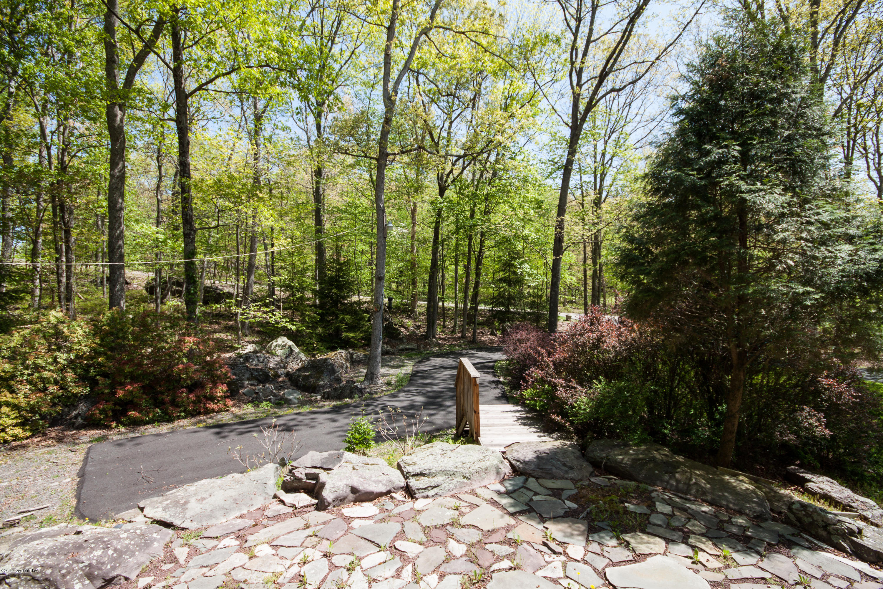 134 Mud Run Road Cresco, PA 18326 - Photo 41 of 53 Looking towards road 2