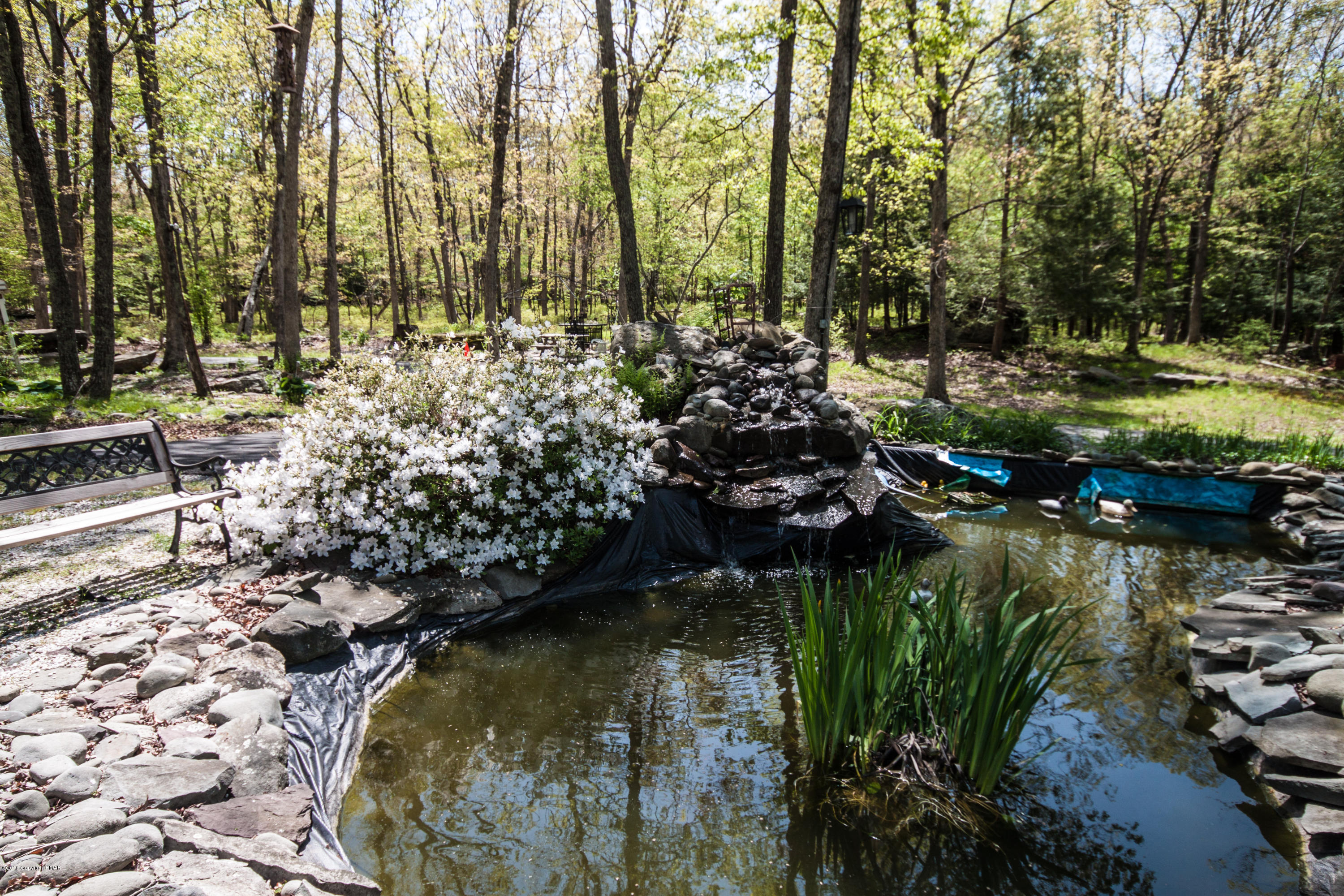 134 Mud Run Road Cresco, PA 18326 - Photo 44 of 53 Pond 2