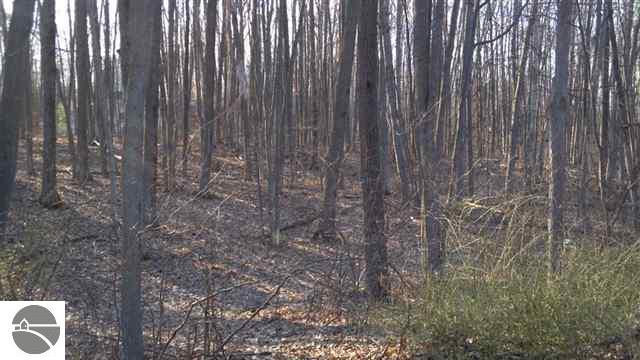 5383 North Markey Road Roscommon, MI 48653 - Photo 8 of 21 1734630-7.JPG