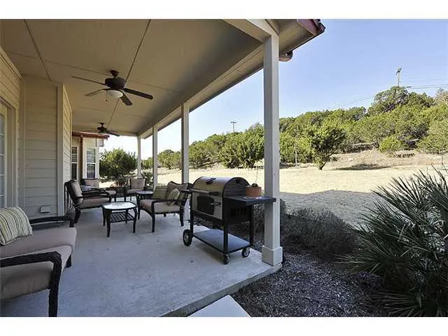 a view of a garden with a tree