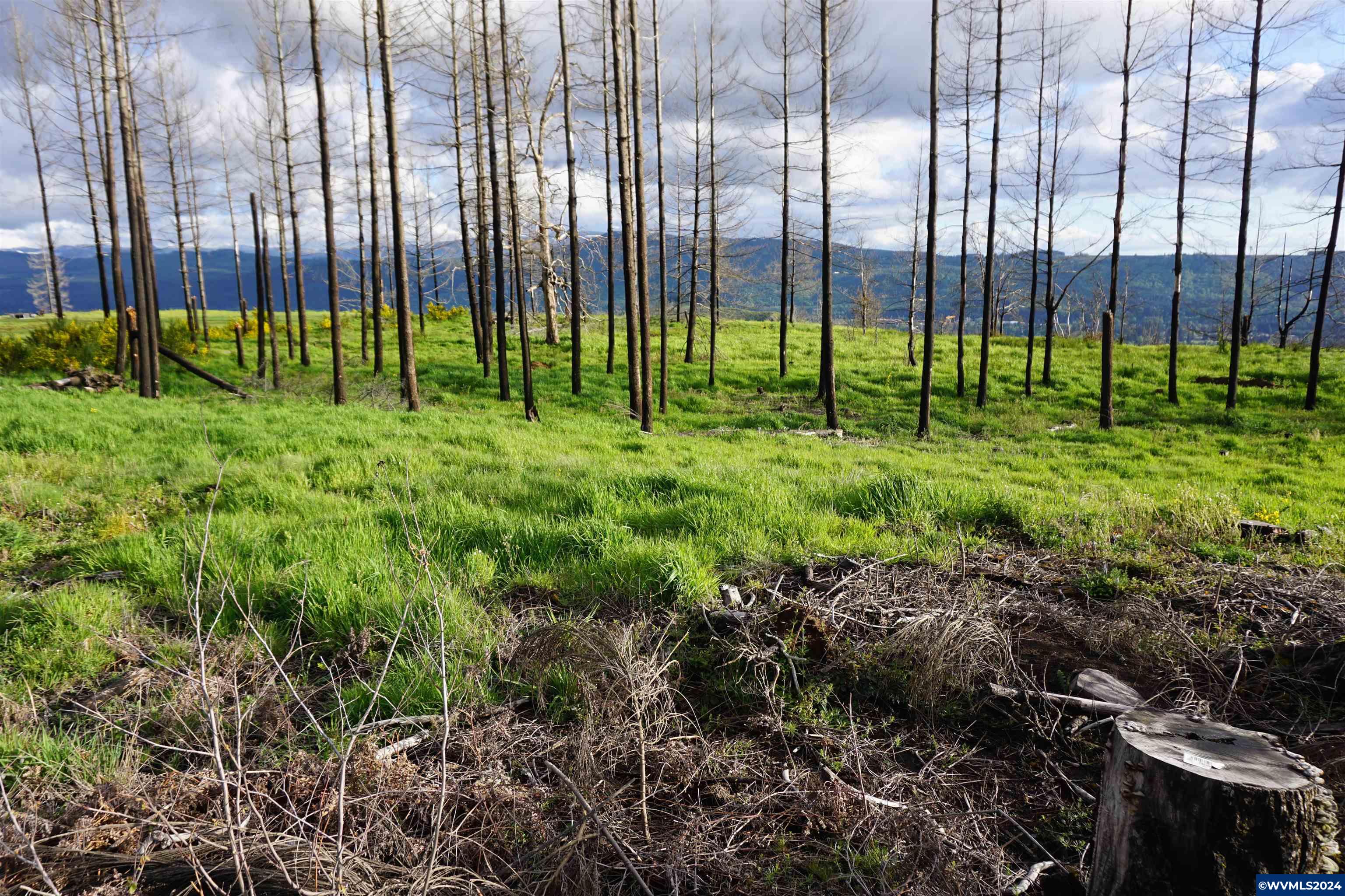 900 Wagner Road Lyons, OR 97358 - Photo 22 of 30