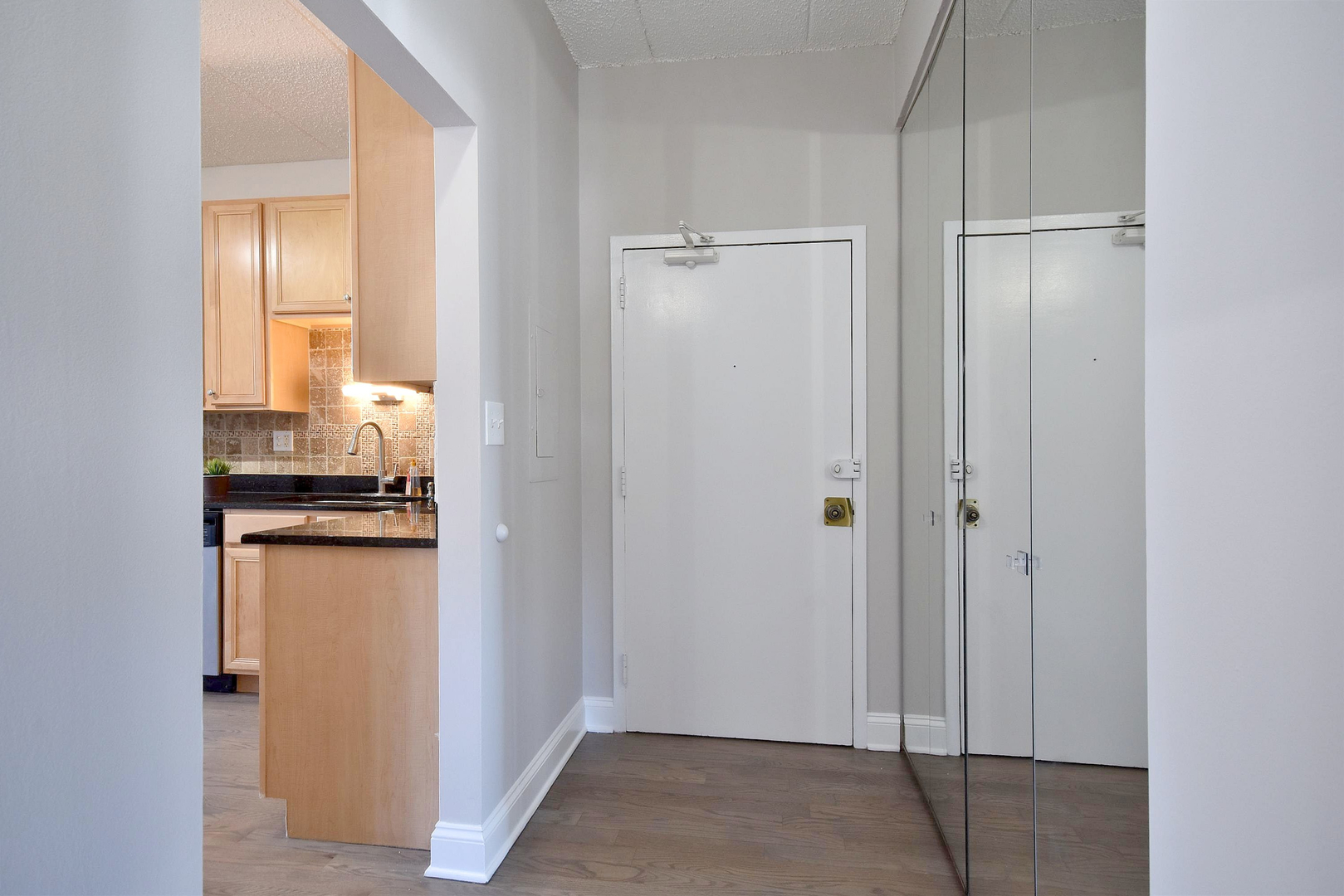 9701 North Dee Road, Unit 1A Niles, IL 60714 - Photo 6 of 25