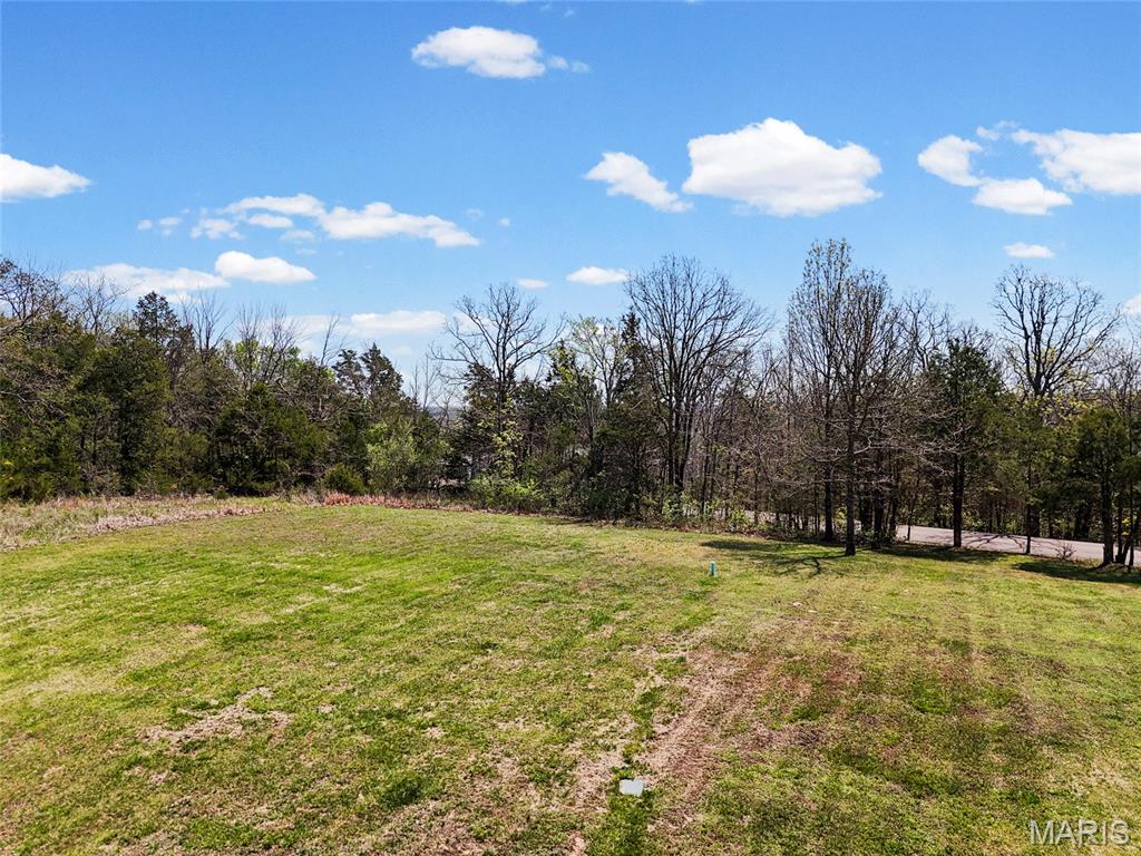 3085 Flucom Road De Soto, MO 63020 - Photo 55 of 70