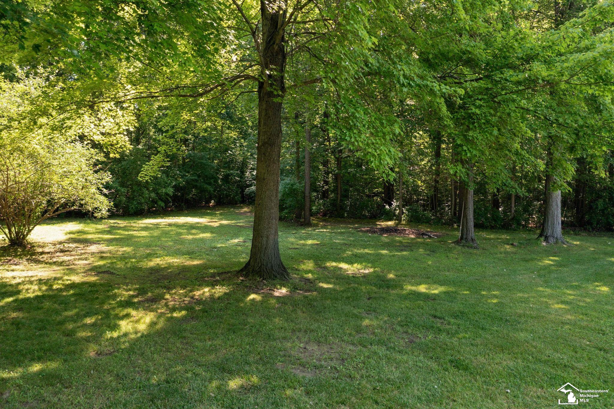 5355 Teal Road Petersburg, MI 49270 - Photo 13 of 59