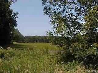 B Wheeler Road Allenton, MI 48002 - Photo 1 of 1 Property Photo