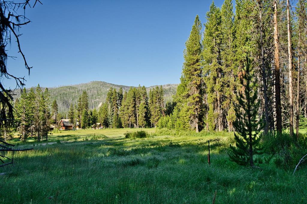 Tbd Tbd Secesh River Road, Unit 52 McCall, ID 83638 - Photo 7 of 18